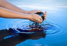  《生態環境損害賠償制度改革方案》發布