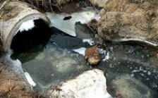  cod能反映水質污染情況嗎？