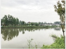  揚州農村投放微動力污水處理設備 26個小盒子&ldquo;洗&rdquo;凈全村污水