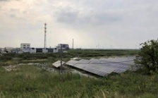  江蘇海安市違規(guī)撤銷沿海防護林和灘涂縣級自然保護區(qū)實施開發(fā)建設