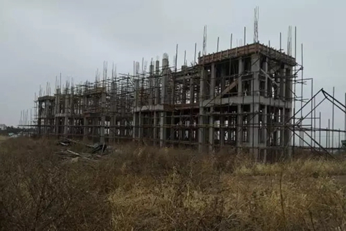 吉林省四平市二龍山水庫(kù)水源保護(hù)區(qū)3.7萬株生態(tài)涵養(yǎng)林被砍伐